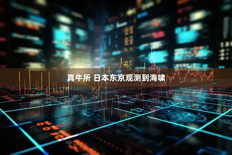 真牛所 日本东京观测到海啸