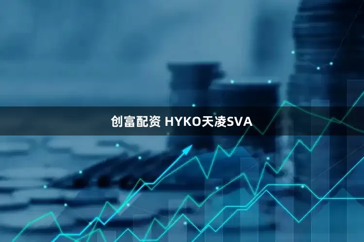 创富配资 HYKO天凌SVA