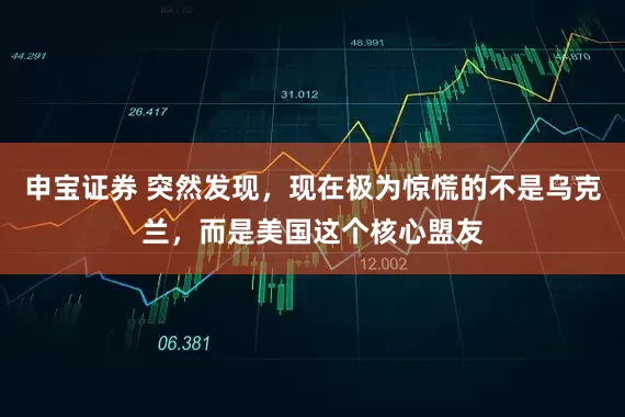申宝证券 突然发现，现在极为惊慌的不是乌克兰，而是美国这个核心盟友